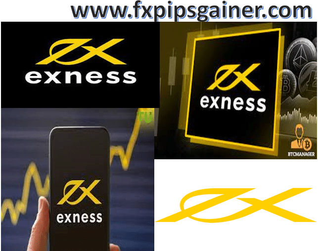 Exploring the Exness Web Platform Features and Benefits Exploring the Exness Web Platform Features and Benefits